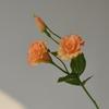 Fiori artificiali 3 teste Platycodon bouquet fiore realistico matrimonio decorazione casa tavolo da pranzo fiore finto oggetti di scena per fotografia