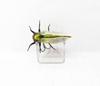 Jackson Namazemi Cicada Floating Lure TTB (4995)