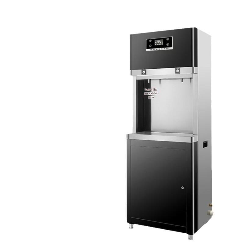 LISM Smart RO Water Dispenser & Boiler
