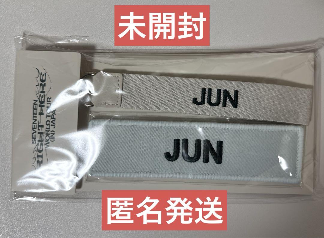 

[Б/У] Seventeen Джун Патч-ремешок