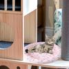 Runde Kühlmatte für Katzen Haustier-Kühlbett für den Sommer Eis-Seiden-Kühlmatte für Haustiere Hunde-Katzen-Schlafmatten Atmungsaktive Chill-Matte