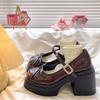 Koreanische Version von Internet-Berühmtheiten kleine Lederschuhe Damen Frühling und Herbst mit Rock dicker Absatz Einzelne Schuhe Temperament Mary Jane Schuhe
