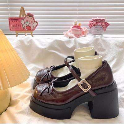 Korean Version of Internet Celebrity Small Leather Shoes Women's Spring and Autumn with Skirt Thick Heel Single Shoes Temperament Mary Jane Shoes