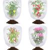 Thickened Agricultural Insect & Bird Proof Net for Greenhouses & Fruit Trees