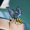 Elf Bee Brooch, High-End Design, Niche, Exquisite Temperament, Suit Accessories