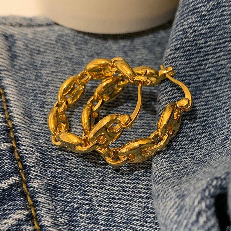 European-American Metal Style Pig Nose Chain Earrings: Women's Fashion, Versatile, Light Luxury, High-Quality Jewelry.