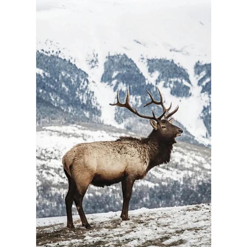 Wall Art Winter Snow Forest Train Deer Squirrel Pine Cone Canvas Painting Posters and Prints for Living Room Home Decor