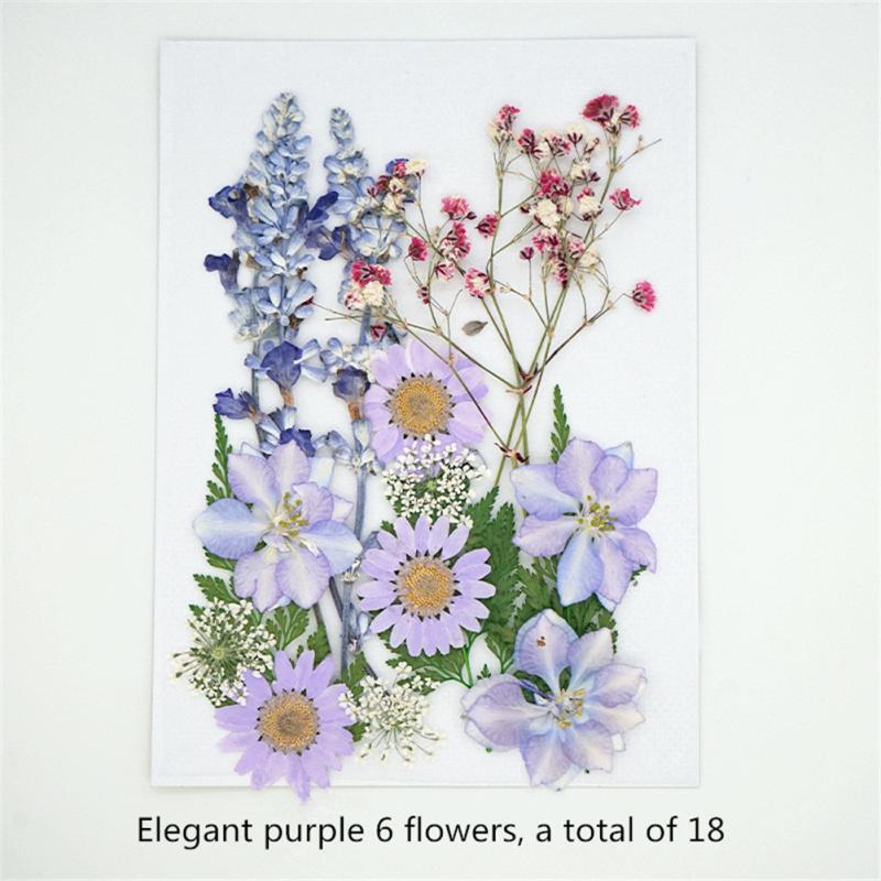 Getrocknete Blumen für selbstgemachten Schmuck, Lesezeichen, Fotorahmen, Make-up-Dekoration