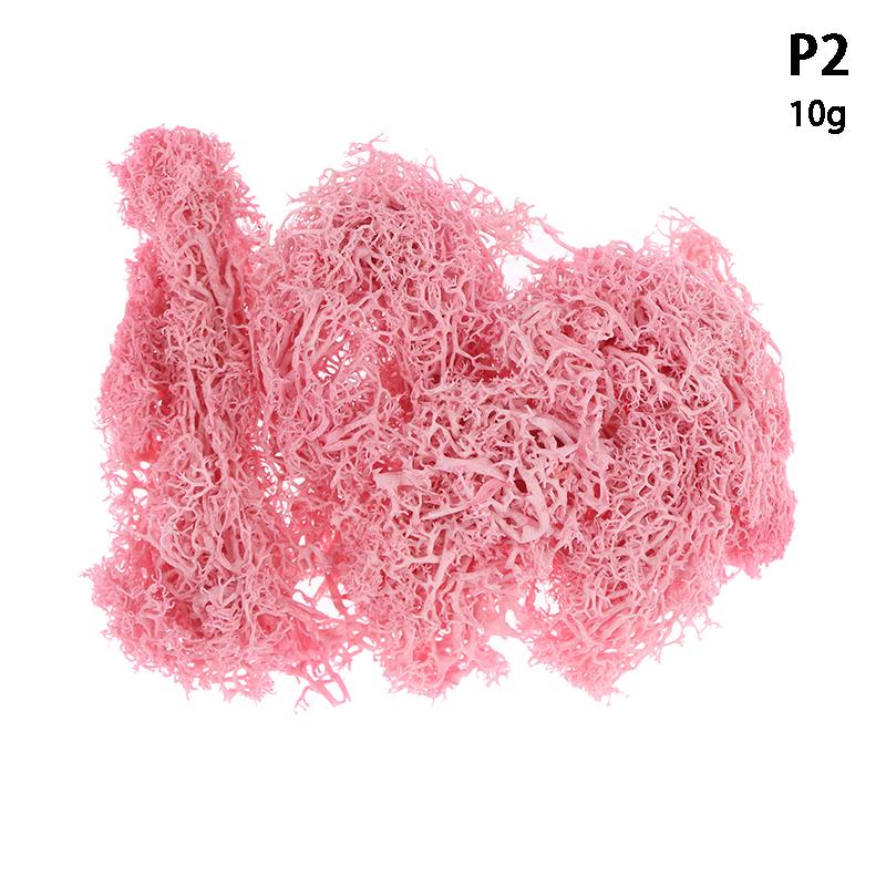 Colorful Natural Artificial Moss Plant DIY Dried Reindeer Moss Decor Resin Epoxy Filling Jewelry Garden Decorate Supplies