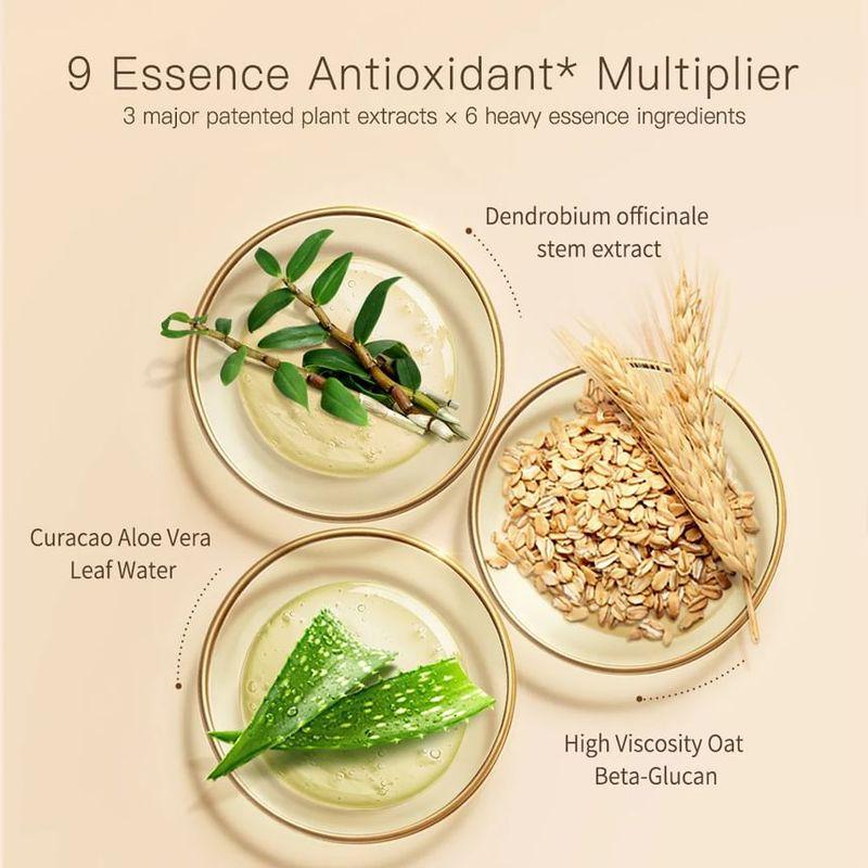 ZEESEA - Palace Identity Blossom Nourishing Concealer - 2 Colors