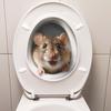 Cute and Realistic Hamster Bathroom Toilet Decoration and Beautification Stickers