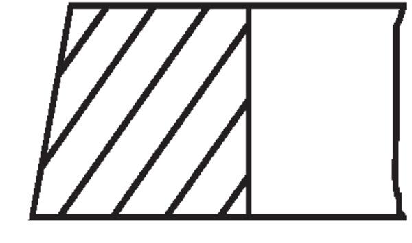 Piston Rings Iveco Daily 06>