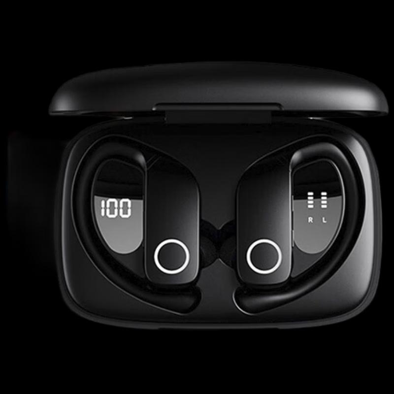 

Sanag Z9 True Wireless Sports Earphones