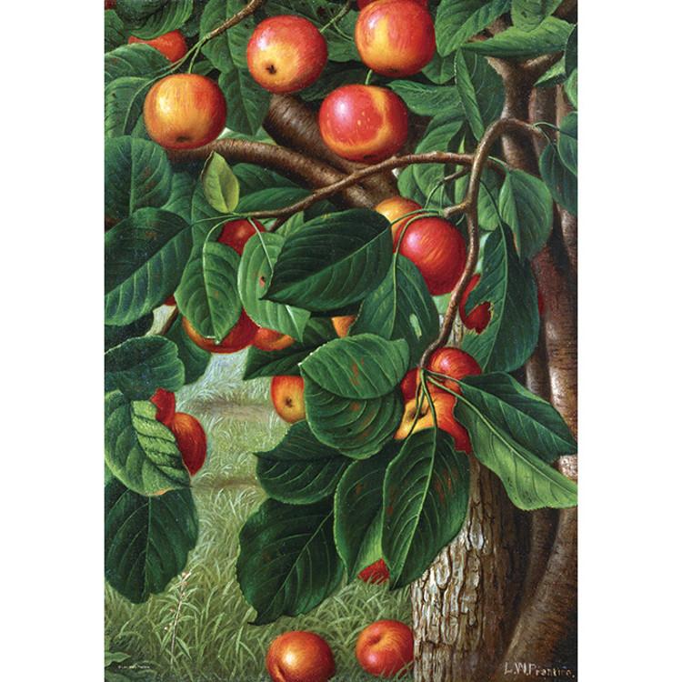 1014-teiliges Puzzle – Apfelbaum, beliebtes koreanisches Puzzle