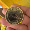 Alligator Alcatraz Collectible Coin Novelty 2025 Alligator Alcatraz Merch Alligator Alcatraz Challenge Coin Gifts Decorative