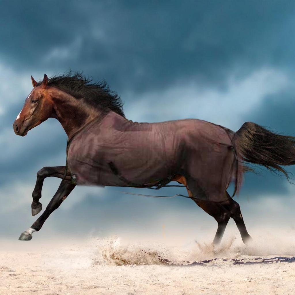 Horse Fly Net Cover Horse Abdomen Net Horse Abdomen Protective Cover Horse Fly Sheet Protector Horse Belly Protect Cover