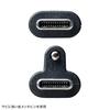 Sanwa Supply USB 20Gbps Type-C Cable (Single Screw Lock, 240W, 1m) KU-20GCCPESSL10
