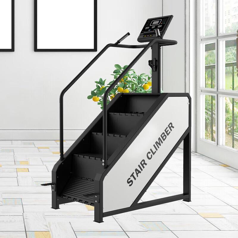 Jin Li Shuo Commercial Electric Stair Climber