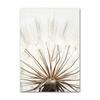Nordic Posters Reed Dandelion Dolphin Sea Beach Flower Wall Art Canvas Painting And Prints Wall Pictures For Living Room Decor