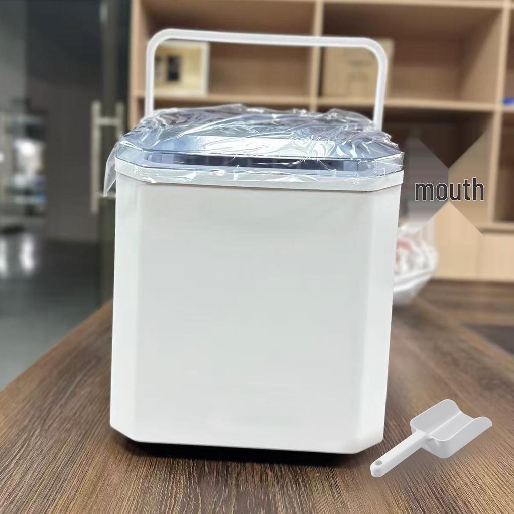 Compact Household Ice Maker for International Use