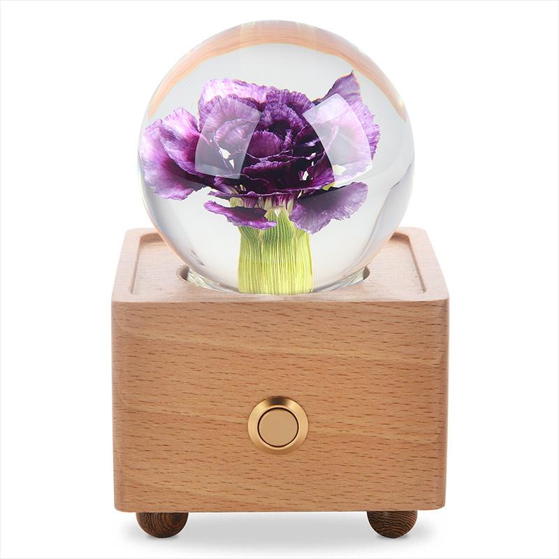 Hot Item Novelty Gifts 2025 Trends New Innovative Product Ideas Real Flower Light Bluetooth Speaker Holiday Festival Gift
