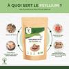 Téguments de psyllium - husk raw - digestion transit cholestérol - origine inde - fabriqué en france - 500g