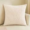 Ins Style Lamb Velvet Pillow Solid Color Curly Pillow Case Simple Sofa Cushion Pillow Office Waist Pillow Case