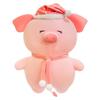 Plush Pig Goodnight Toy Stuffed Animal Doll Soothing Pig Sleep Pillow Gift Doll