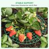 5/10/20 PCS Strawberry Plant Support Strawberry Growing Racks Strawberry Stand Strawberry Growing Frame, Protecting Strawberry from Mold, Rot and Dirt