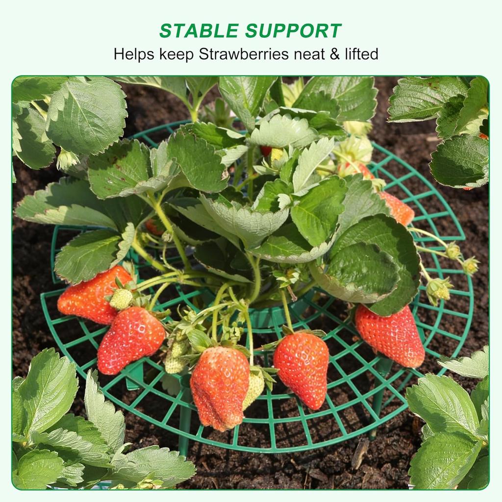 5/10/20 PCS Strawberry Plant Support Strawberry Growing Racks Strawberry Stand Strawberry Growing Frame, Protecting Strawberry from Mold, Rot and Dirt