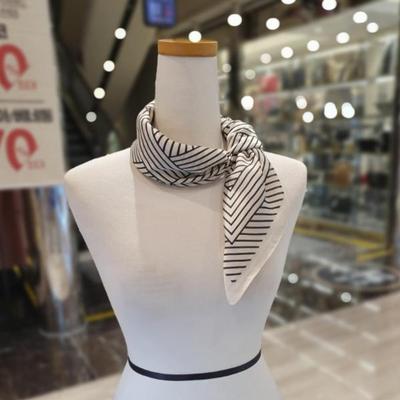 Arnaldo Basini Ray Petite Scarf (ABSCH-6022)