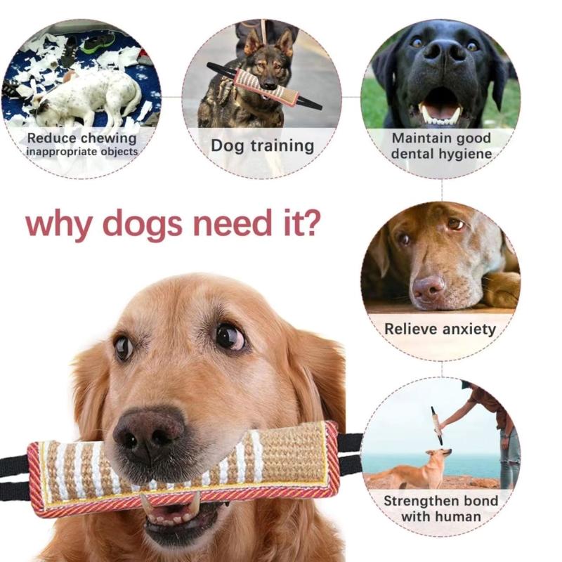 Dog Molar Toy with 2 Handles Tossing Teething Game Toy Reflective Pillow