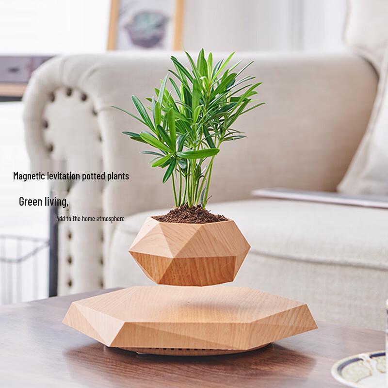 Magnetic Levitation Potted Plant: Creative Bonsai Handicraft Gift for Teacher's Day & Living Room Decor.
