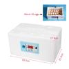 Digital Waterbed Incubator Chicken Hatcher Automatic Temperature Control