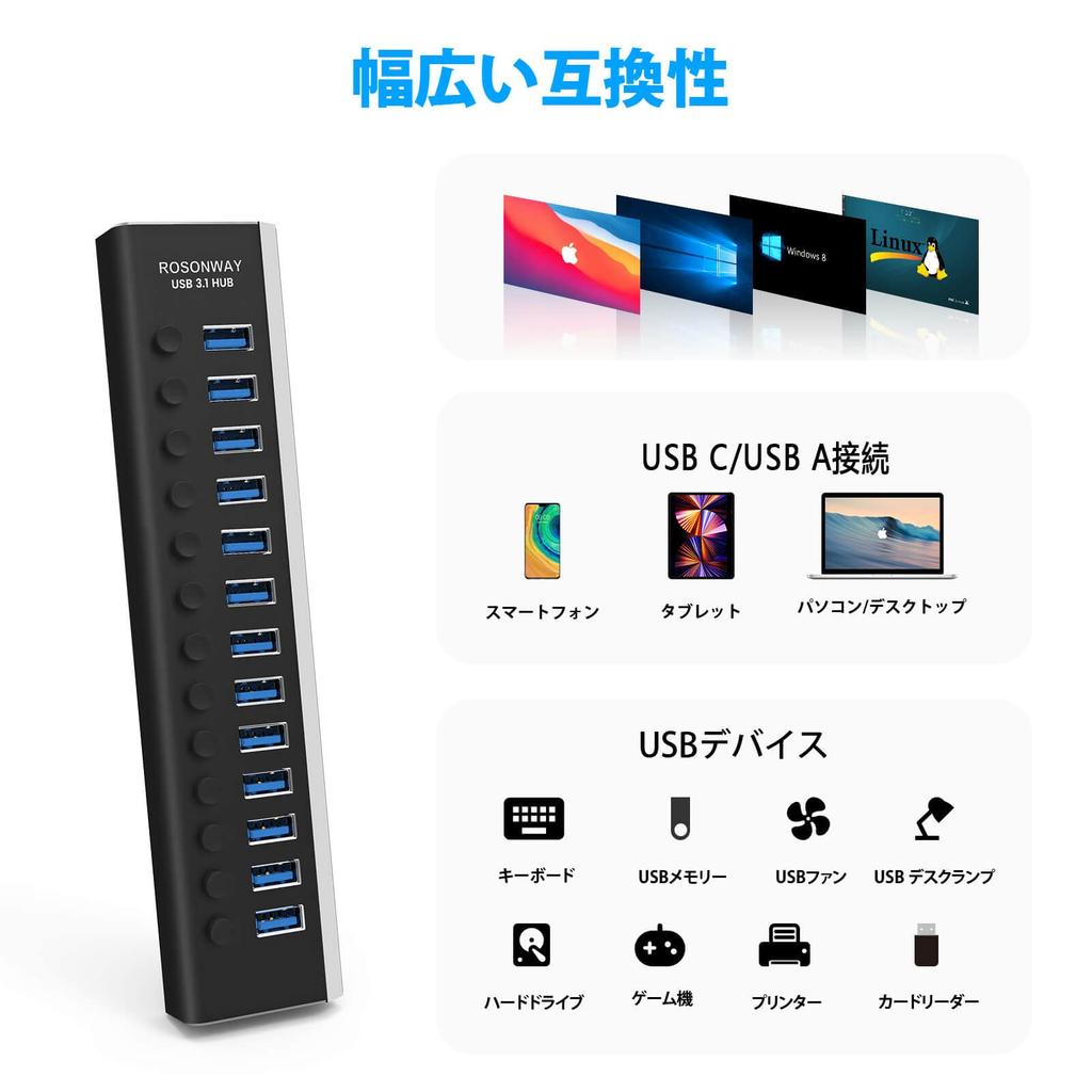 ROSONWAY USB Hub Gen2 10Gbps 13 Port Aluminum 72W USB HUB USB Cable and Type C Cable Included AC Adapter Independent Switch Included 3.1 Self-Powered