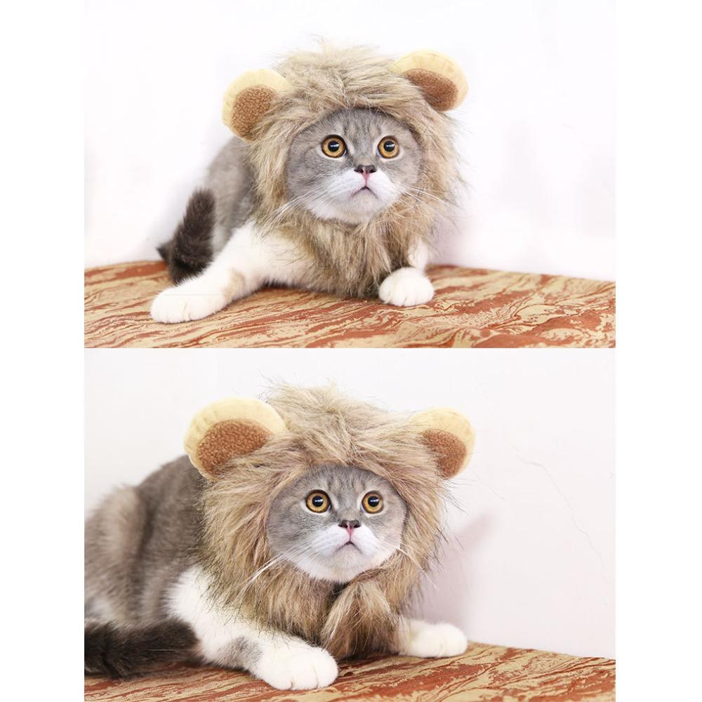 Cat lion headgear cute rabbit hat cat headgear performance props funny funny rabbit ears pet hat