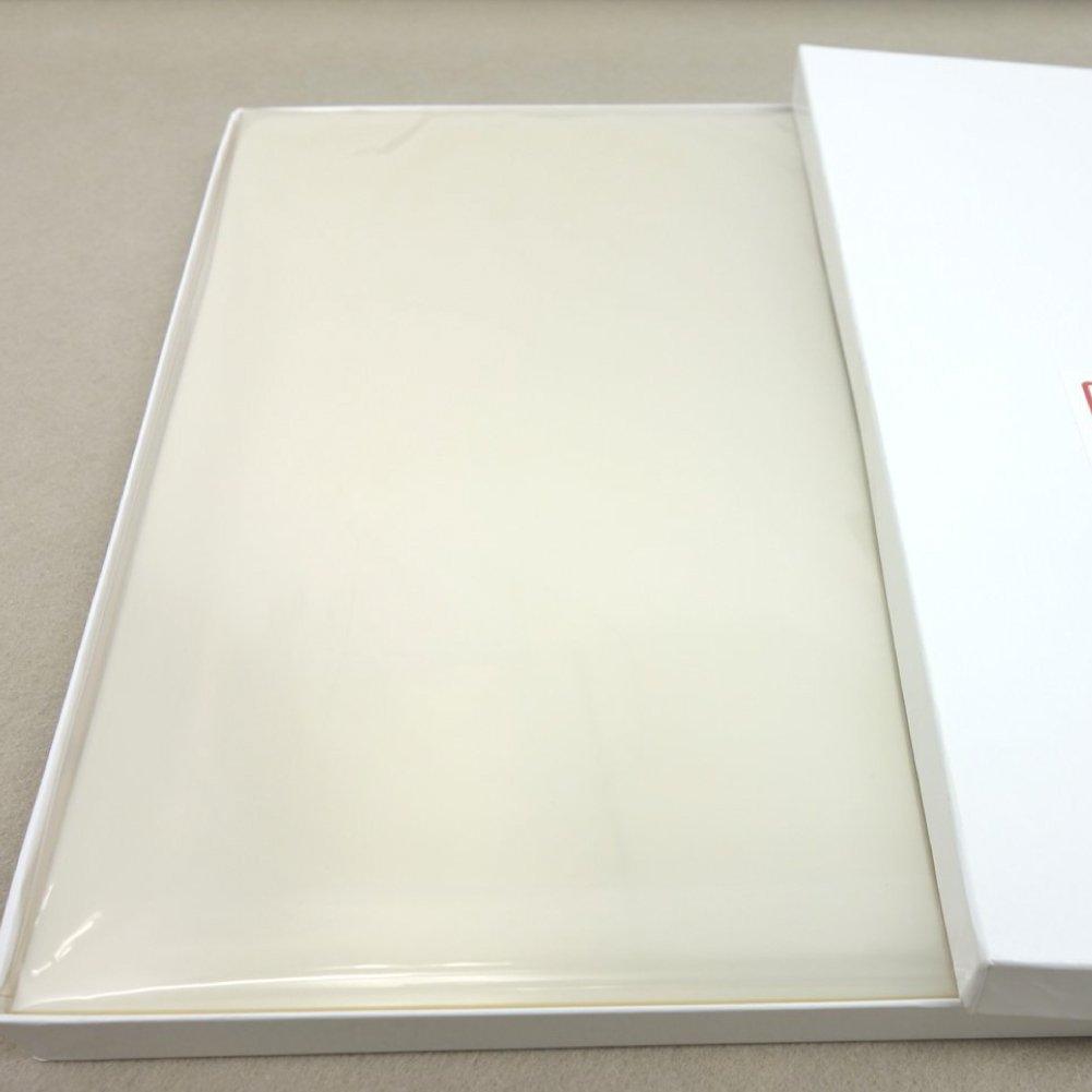 KOKUYO OHP Film for Inkjet 100 Printers, A4, sheets, VF-1102