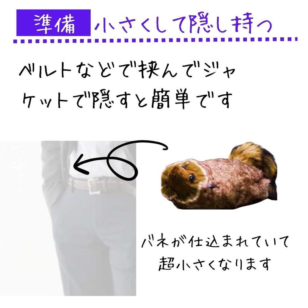 Magic Raccoon Spring Pet Magic Cute Raccoon Plush Toy Tricks, Lucky-kun, Maggie, Trick, Animal,