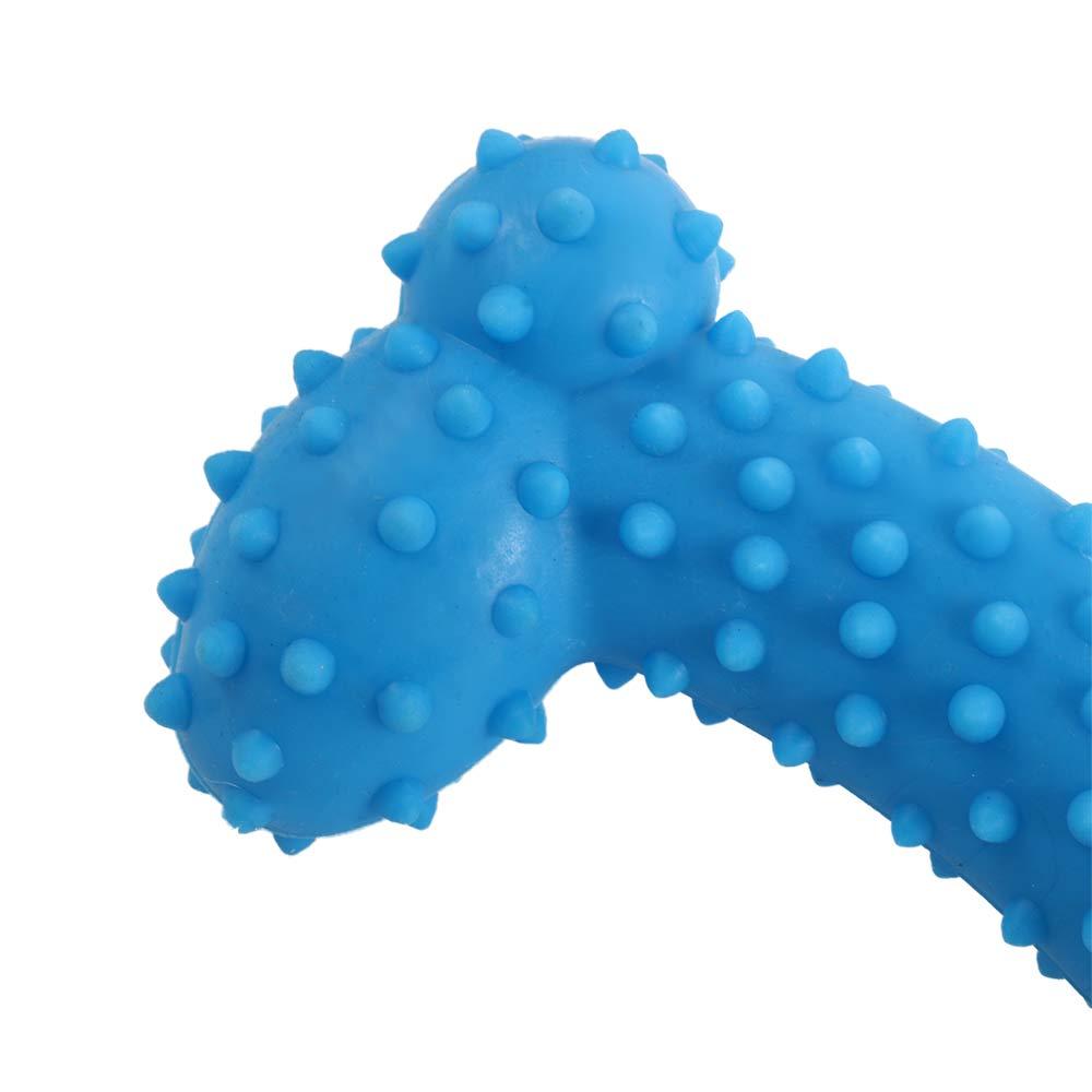 For Small Dogs Outdoor Play Dog Throw Toys Dog Toy Dog Supplies Pet Accessories Chew Training Toy