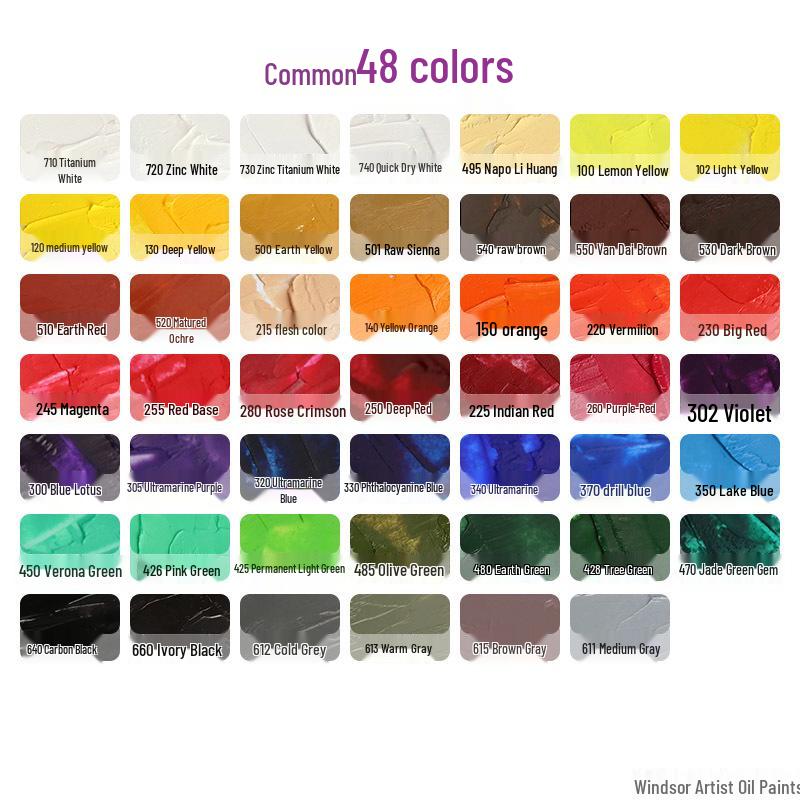 Sanatçılar, Öğrenciler, Yeni Başlayanlar ve Dış Mekan Çizimleri İçin Winsor & Newton Yağlı Boya Seti