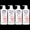 Clear Sakura Refreshing Anti-Dandruff Shampoo Set