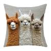 Alpaca