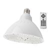 12V 40W LED Pool Light E26 RGB Color Changing Pool Light Bulb with Remote Control