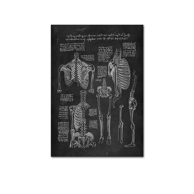 Human Musculoskeletal Heart Anatomy Skeleton Poster Canvas Painting and Printmaking Home Room Painting Decorative Art No Frame