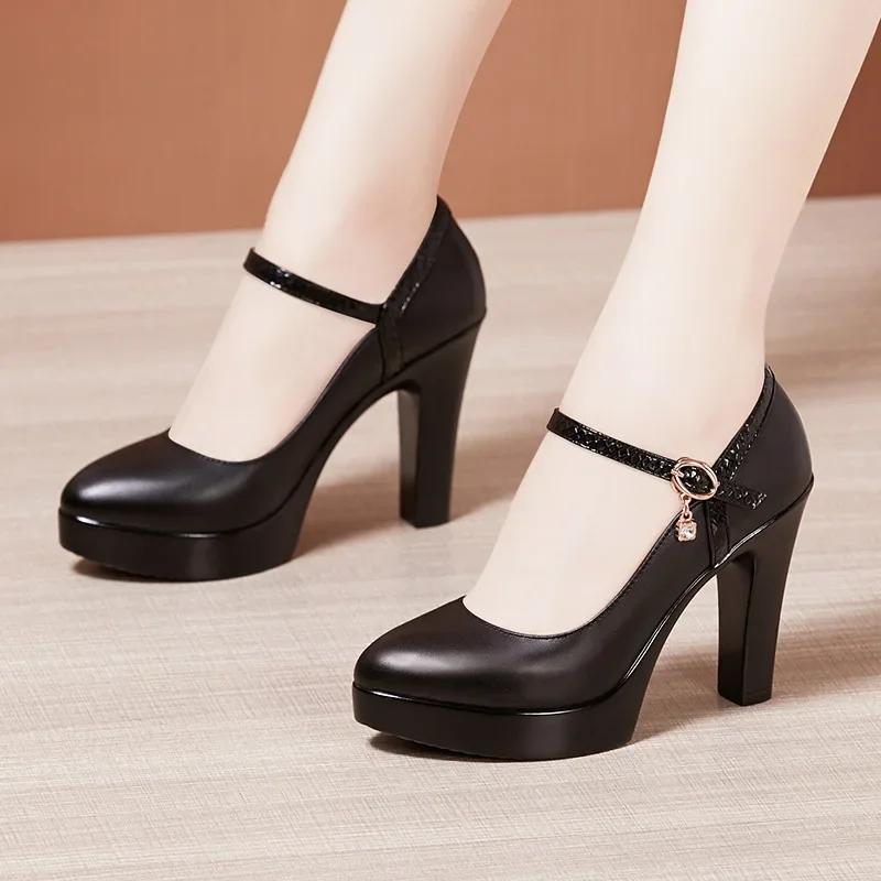 8 10 13cm Small Size 32-43 Elegant Thick Bottom Platform Pumps Women 2025 Fall Block High Heels Shoes Dress Model Office Party