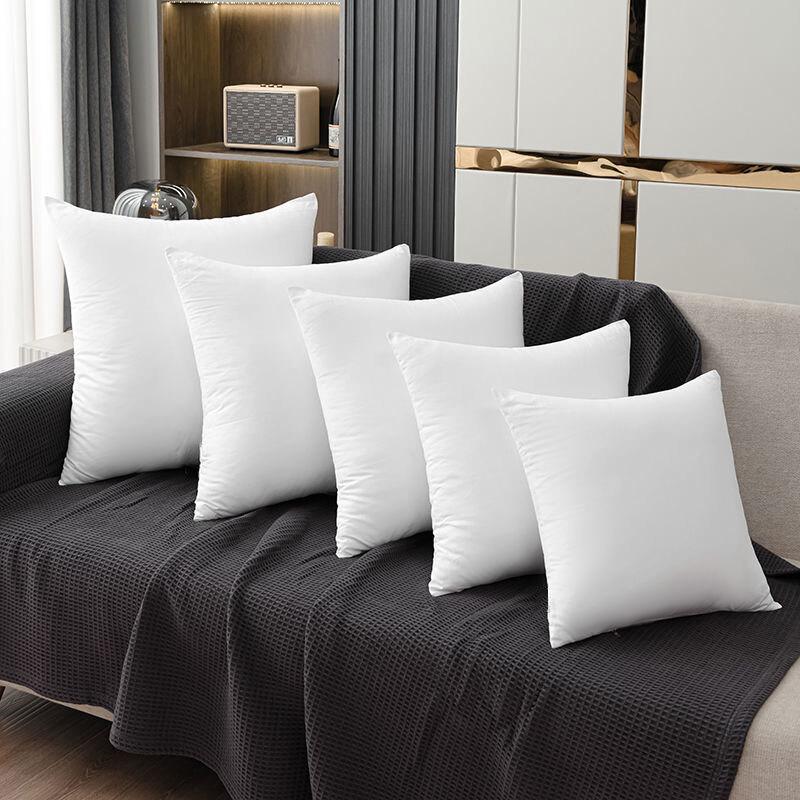 Throw Pillow Cushion Insert