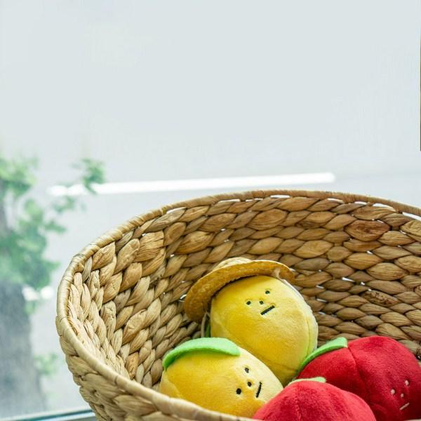 Dingdog Pet Gaeruts Sada pískacích hraček Lemon Aepong + pohlednice, smíšené barvy, 1 sada