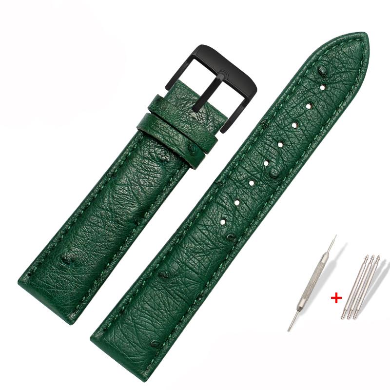 Genuine Watchband Ostrich Leather Strap Fit Seiko Omega Citizen Universal Bracelet 18mm 20mm 21mm 22mm Watch Band Brown Green