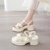 thick-soled cross-strap fairy wind sandals for women 2025 summer new thick heel outer wear one-button Roman sandals for women