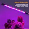Metal Led Grow Light Usb Phyto Full Spectrum Lamp For Indoor Plants Seedlings Flower